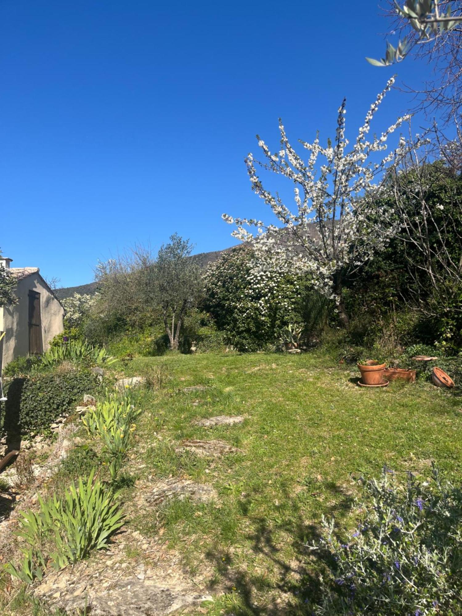 Cabanon Entoure De Montagnes Et D'Oliviers Villa Nyons Eksteriør bilde