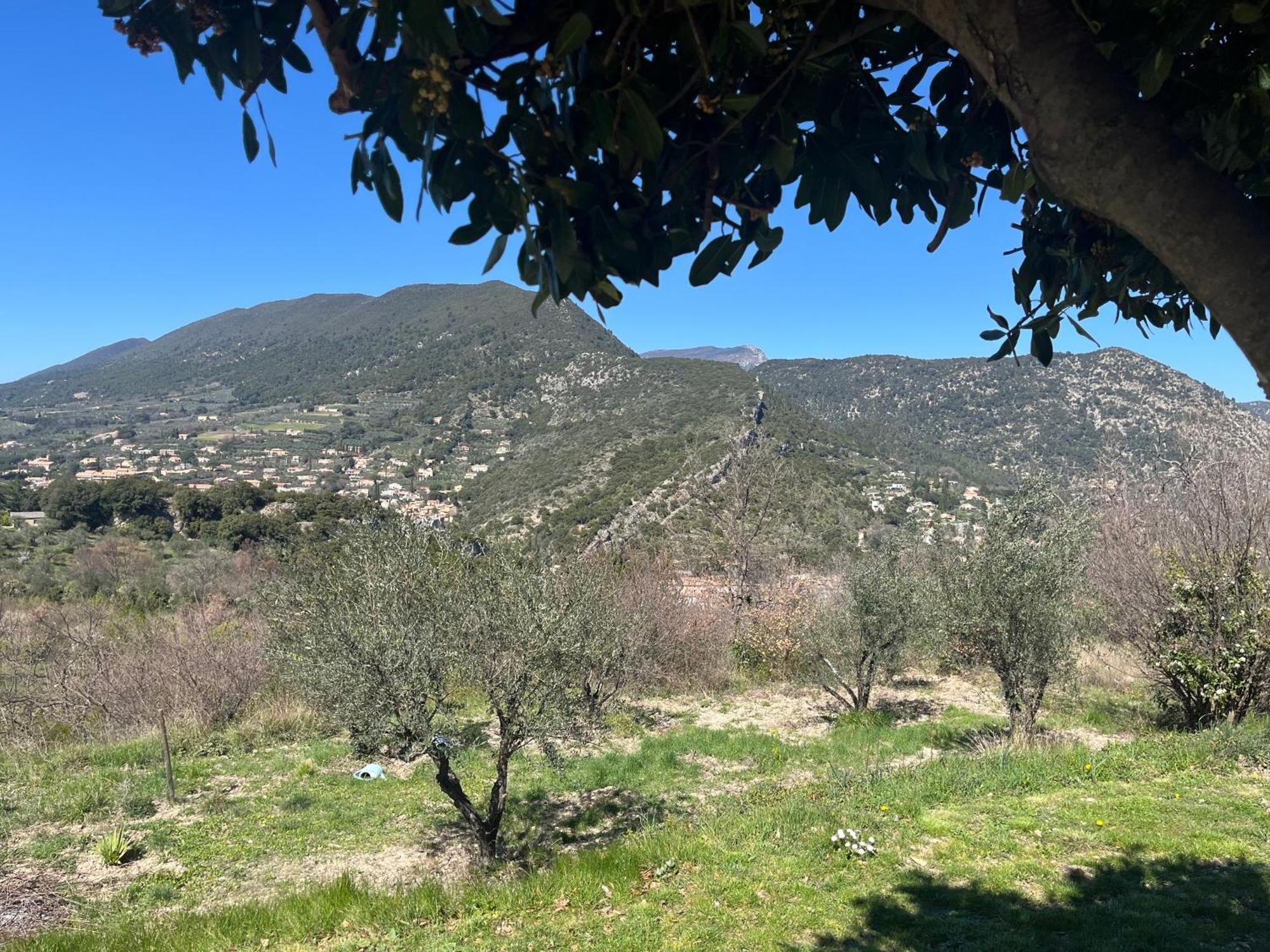 Cabanon Entoure De Montagnes Et D'Oliviers Villa Nyons Eksteriør bilde