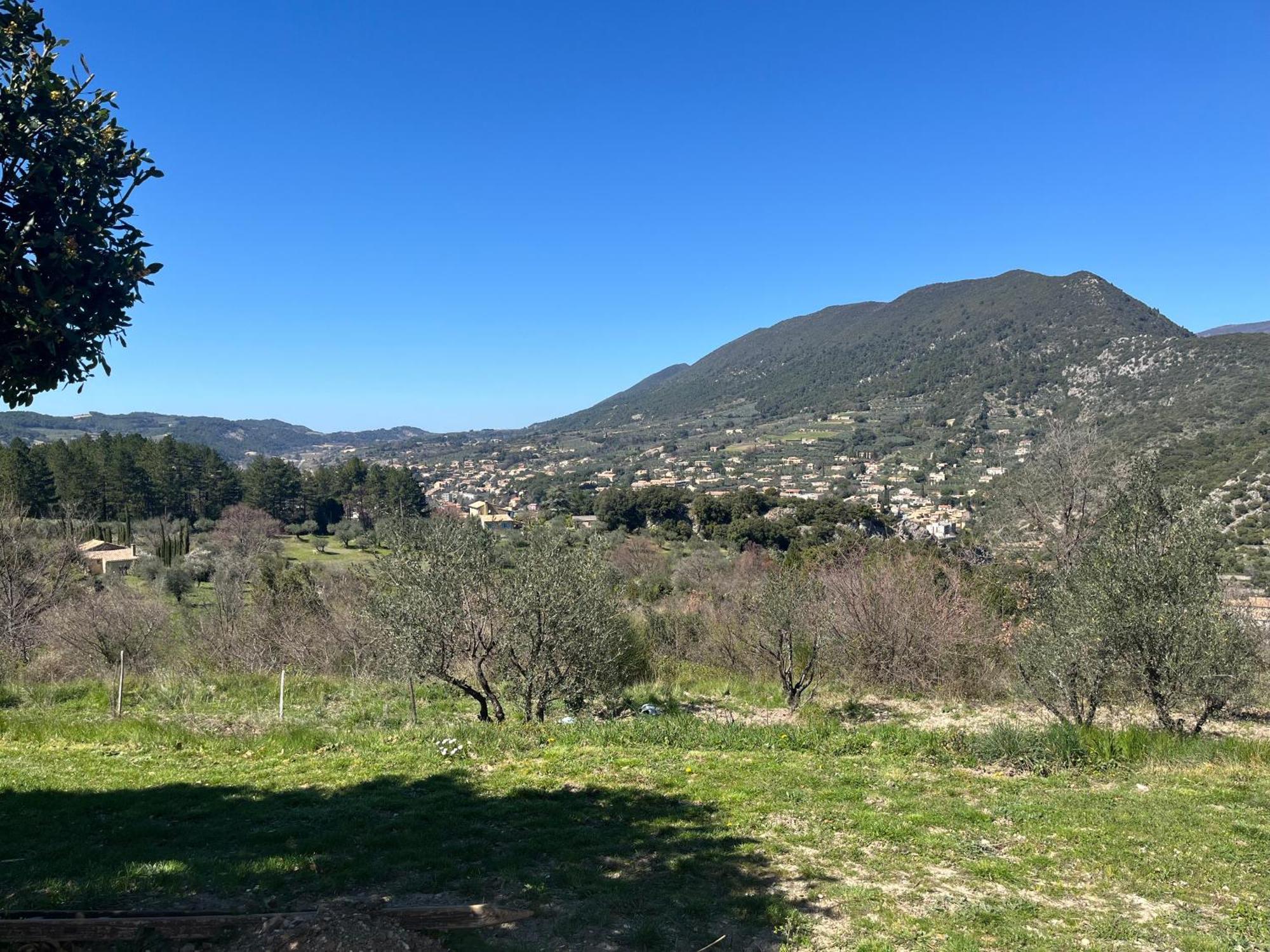 Cabanon Entoure De Montagnes Et D'Oliviers Villa Nyons Eksteriør bilde